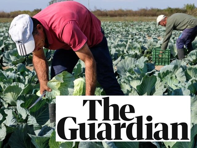 ‘We’re humus sapiens’: the farmers who shun animal manure – THE GUARDIAN 01.12.19